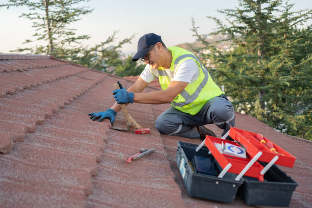 Best Roof Gutter Cleaning  in Deland Southwest, FL